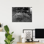 Hogs Head, Bute Park, Cardiff Poster (Heimbüro)