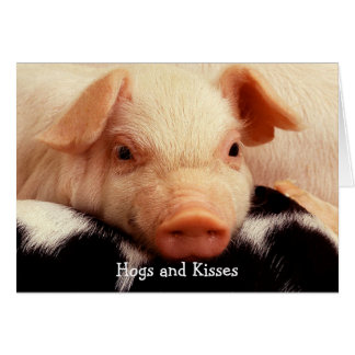Hogs und Kisses