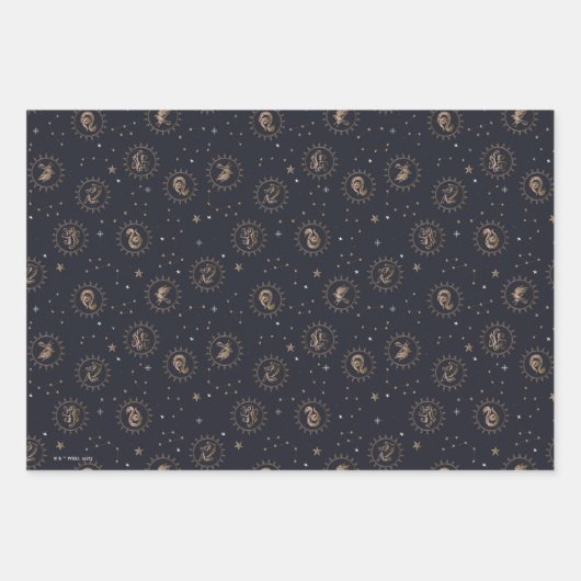 Hogwarts House Wappen Constellation Pattern Geschenkpapier Set (Vorderseite 3)