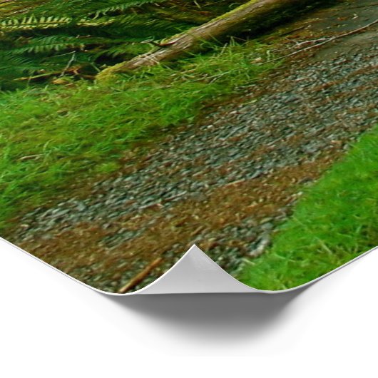 Hoh Rain Forest - Olympischer Nationalpark Poster (Ecke)