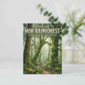 Hoh-Regenwald Washington Postkarte (Stehend Vorderseite)