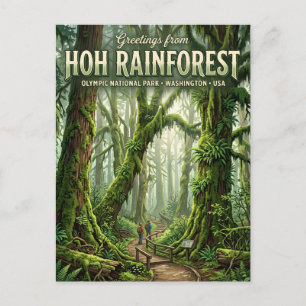 Hoh-Regenwald Washington Postkarte