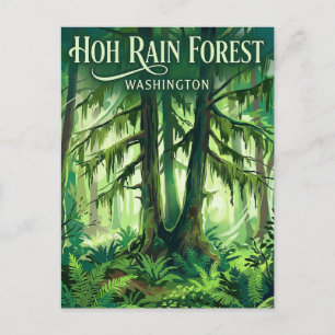 Hoh-Regenwald Washington Postkarte