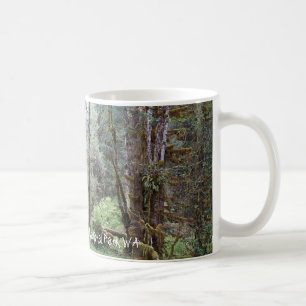 Hoh Regenwald, Washington-Staat, Tasse