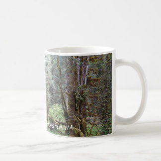 Hoh Regenwald, Washington-Staat, Tasse