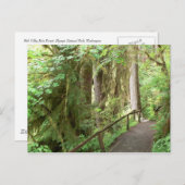 Hoh Valley Rain Forest Postcard Postkarte (Vorne/Hinten)