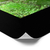 Hoh Valley Rain Forest Poster (Stream) (Ecke)