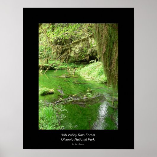 Hoh Valley Rain Forest Poster (Stream) (Vorne)