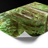 Hoh Valley Rainforest Trail Poster (Ecke)