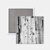 hohe Aspen's Magnet (Vorderseite/Rückseite)