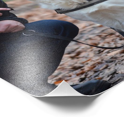 Hohe Auflösung personalisieren Erweiterung Fotodruck (Ecke)