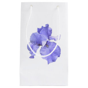 Hohe bärtige lila Iris Kleine Geschenktüte