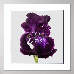 Hohe Bartirisien-Folie-Text-Druckposter Foliendrucke