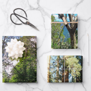 Hohe Bäume Dekorative Decoupage Hochwertige Triade Geschenkpapier Set