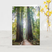 Hohe Bäume Karte (Gelbe Blume)