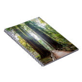 Hohe Bäume Notizblock (Rechte Seite)