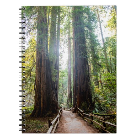 Hohe Bäume Notizblock (Vorderseite)