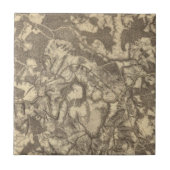 Hohe Brücke und Virginia Fliese (Vorderseite)