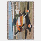 Hohe Flügelflugzeuge Cessnas Decke (Vorderseite Vertikal)