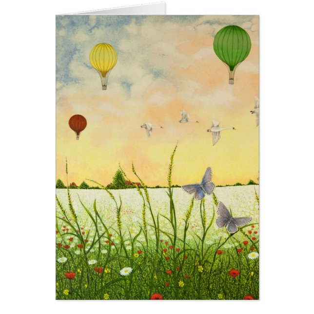 Hohe Flyer 2011 (Vorne)