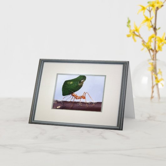 Hohe Hoffnungen Karte (Gelbe Blume)