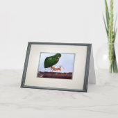 Hohe Hoffnungen Karte (Vorderseite)