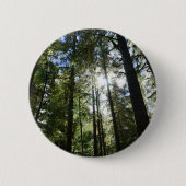 Hohe Kiefern Button (Vorderseite)