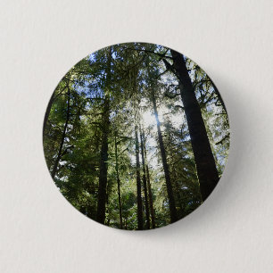 Hohe Kiefern Button