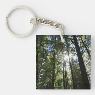 Hohe Kiefern Schlüsselanhänger