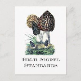 Hohe Morchel-Standards Postkarte