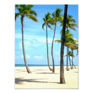 Hohe Palmen auf Strand Fotodruck