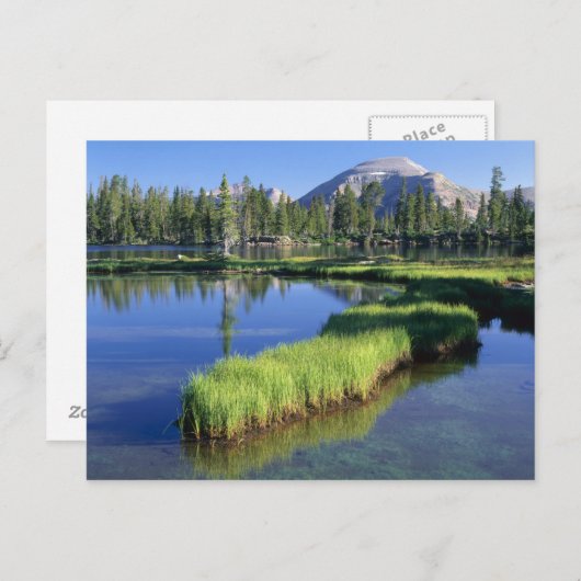 HOHE UINTAS WILDERNESS, ABER, US, POSTKARTE (Vorne/Hinten)