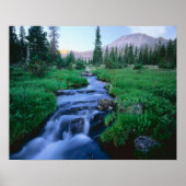 HOHE UINTAS WILDERNESS, UTAH. Stillwater Fork Poster (Vorne)