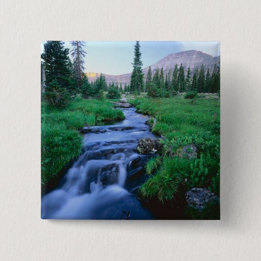 HOHE UINTAS WIRD UNS, UTAH. Stillwassergabel Button (Vorderseite)
