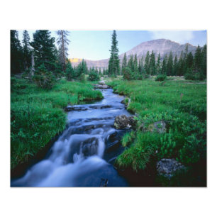 HOHE UINTAS WIRD UNS, UTAH. Stillwassergabel Fotodruck
