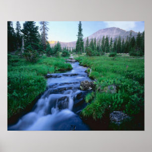 HOHE UINTAS WIRD UNS, UTAH. Stillwassergabel Poster
