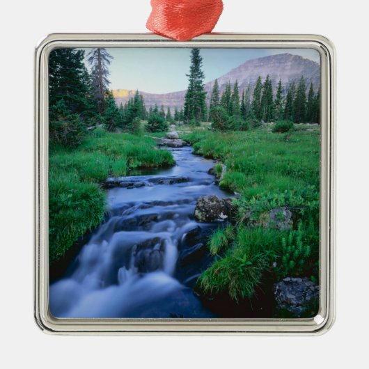 HOHE UINTAS WIRD UNS, UTAH. Stillwassergabel Silbernes Ornament (Vorne)