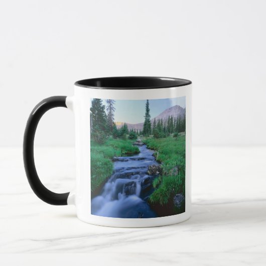 HOHE UINTAS WIRD UNS, UTAH. Stillwassergabel Tasse (Links)