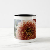Hohe Winkelsicht der Blumen in einem Vase Zweifarbige Tasse (Mittel)