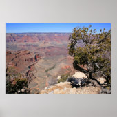 Höhenflüge Poster (Vorne)