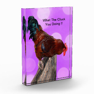 Höhepunkt in Majestät: Rooster on Dreamy Lila Glow Fotoblock