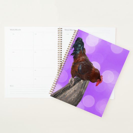 Höhepunkt in Majestät: Rooster on Dreamy Lila Glow Planer (Anzeige)