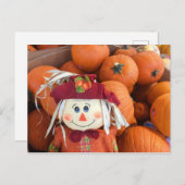 Höhepunkt und Pumpkins Postkarte (Vorne/Hinten)