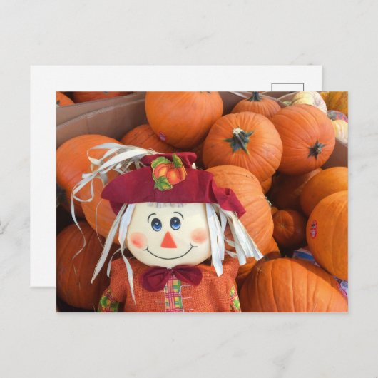 Höhepunkt und Pumpkins Postkarte (Vorne/Hinten)