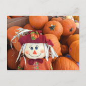 Höhepunkt und Pumpkins Postkarte (Vorderseite)