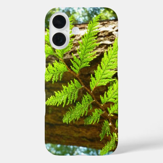 Höhepunkte eines botanischen Rotwaldbaums Case-Mate iPhone Hülle (Rückseite)