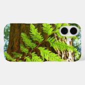 Höhepunkte eines botanischen Rotwaldbaums Case-Mate iPhone Hülle (Rückseite (Horizontal))