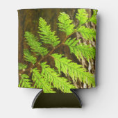 Höhepunkte eines botanischen Rotwood-Baums Dosenkühler (Vorderseite)