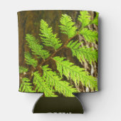 Höhepunkte eines botanischen Rotwood-Baums Dosenkühler (Rückseite)