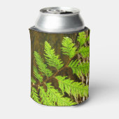 Höhepunkte eines botanischen Rotwood-Baums Dosenkühler (Kanne Rückseite)